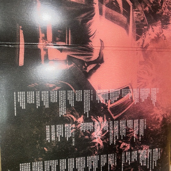 Autographed Luke Hemmings “When Facing The Things We Turn Away From” Vinyl - Picture 5 of 8